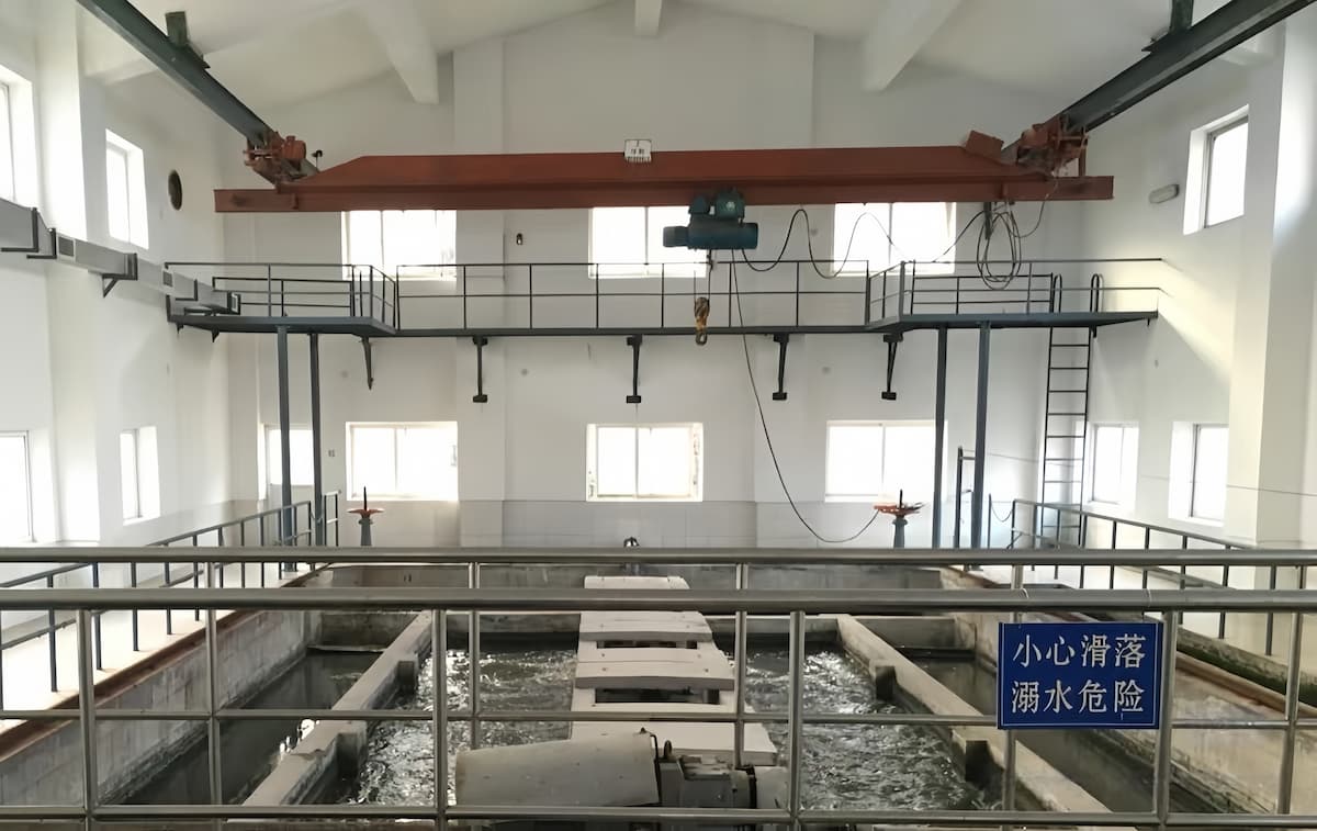 Overhead crane for wastewater treatment plant 2